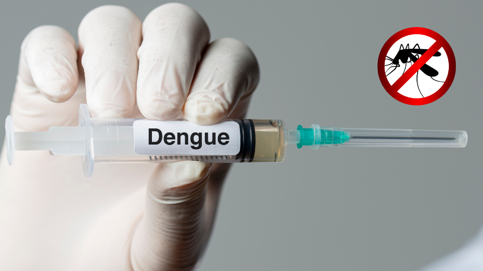 Dengue: uma ameaça constante Dengue