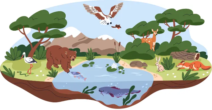 O que é habitat? retrata um habitat
