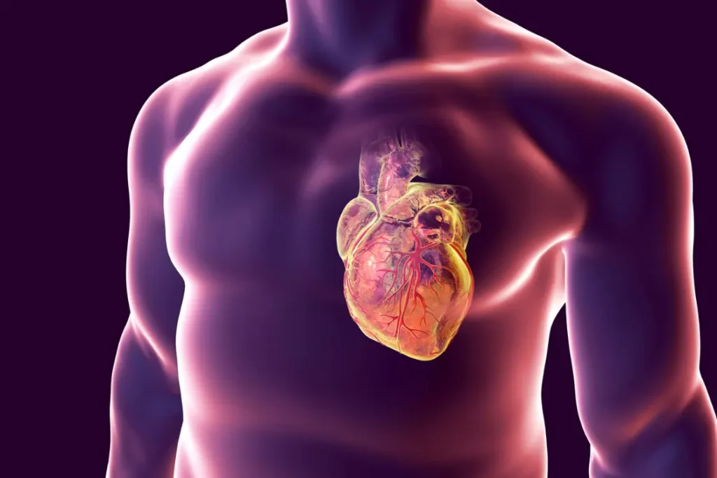 Doenças cardiovasculares