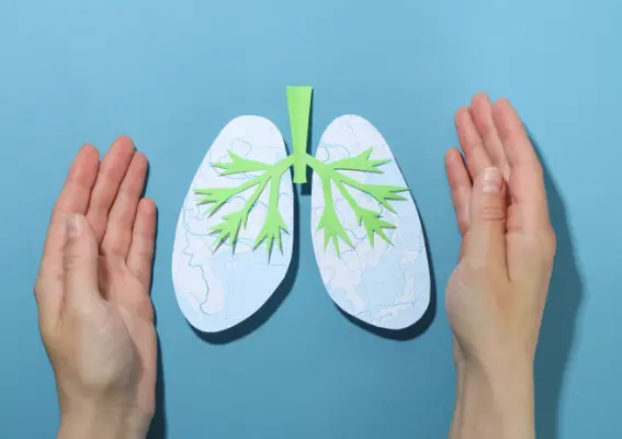 A importância da saúde pulmonar: cuidados essenciais para uma vida plena