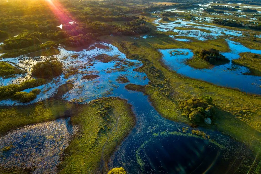 Animais do Pantanal: conheça a biodiversidade desse paraíso natural Vista do Pantanal a maior planície alagável do planeta.
