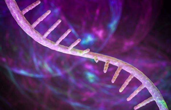 Ácidos nucleicos ilustração da molecula de RNA