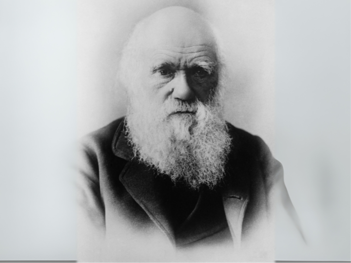 Quem foi Charles Darwin? Retrato de Charles Darwin
