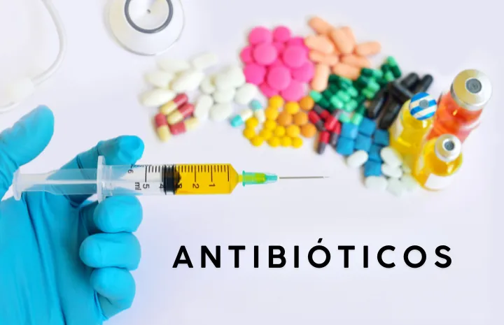 Resistência Bacteriana: o que é, por que acontece e como se proteger a imagem retrada os antibióticos via oral e injetavel