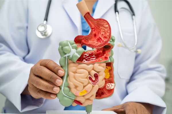 Enzimas digestivas: entenda a função e importância para a digestão um medico mostrando o sistema digestório