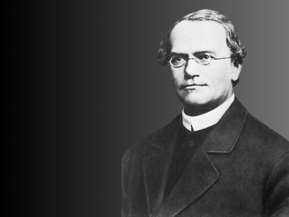 Quem foi Gregor Mendel? gregor mendel
