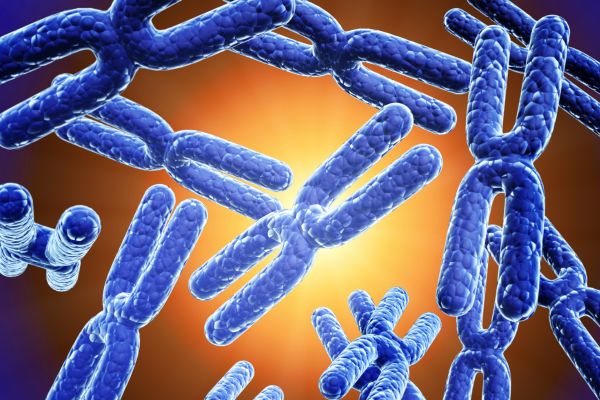 Síndromes Cromossômicas: o que são e como afetam o corpo humano cromossomos para representar as síndromes cromossômicas